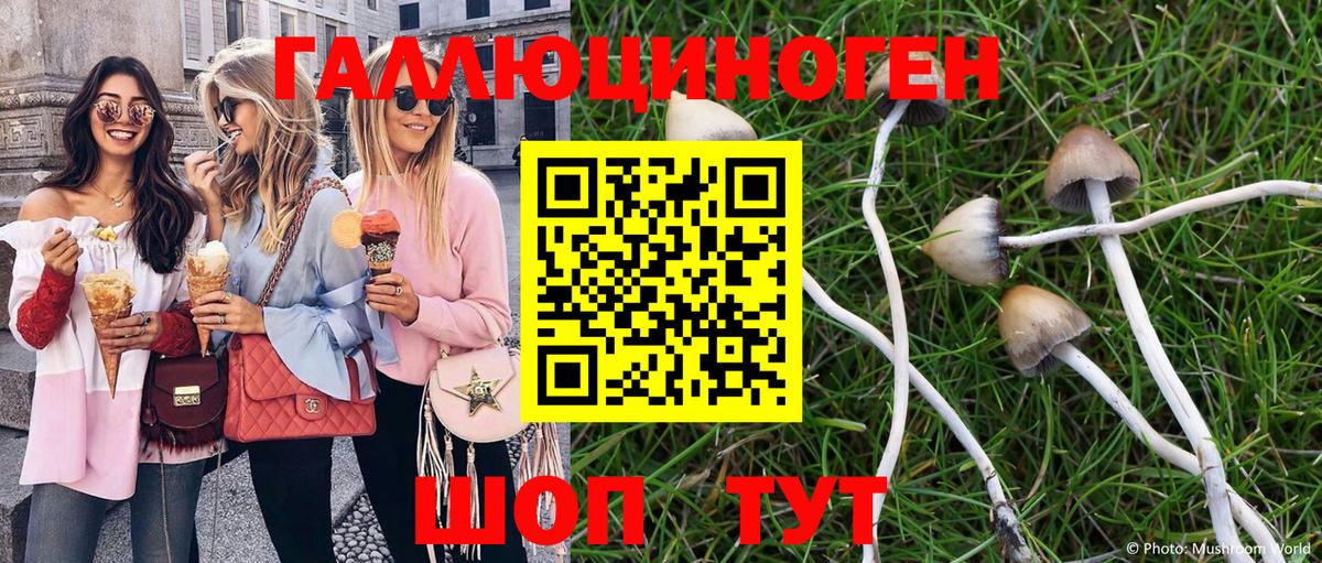 Железноводск  Галлюциногенные грибы мухоморы  Вход с VPN 